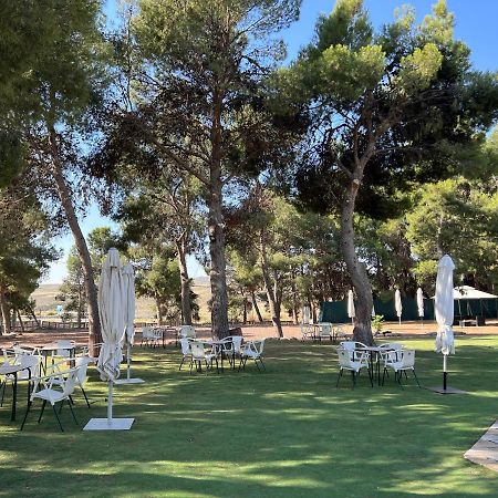 Hotel El Cisne Zaragoza Dış mekan fotoğraf
