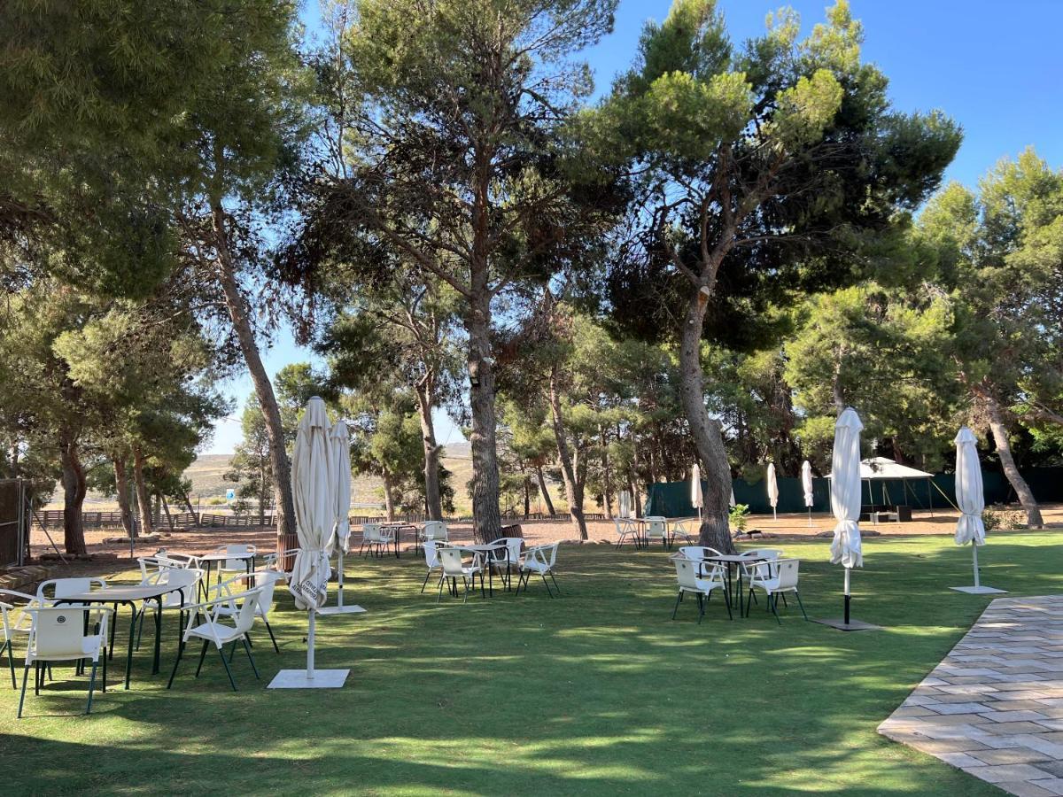 Hotel El Cisne Zaragoza Dış mekan fotoğraf