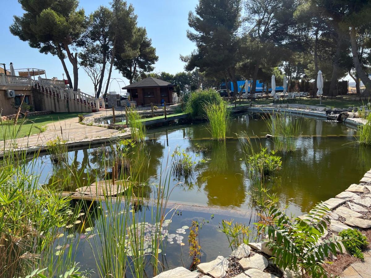 Hotel El Cisne Zaragoza Dış mekan fotoğraf
