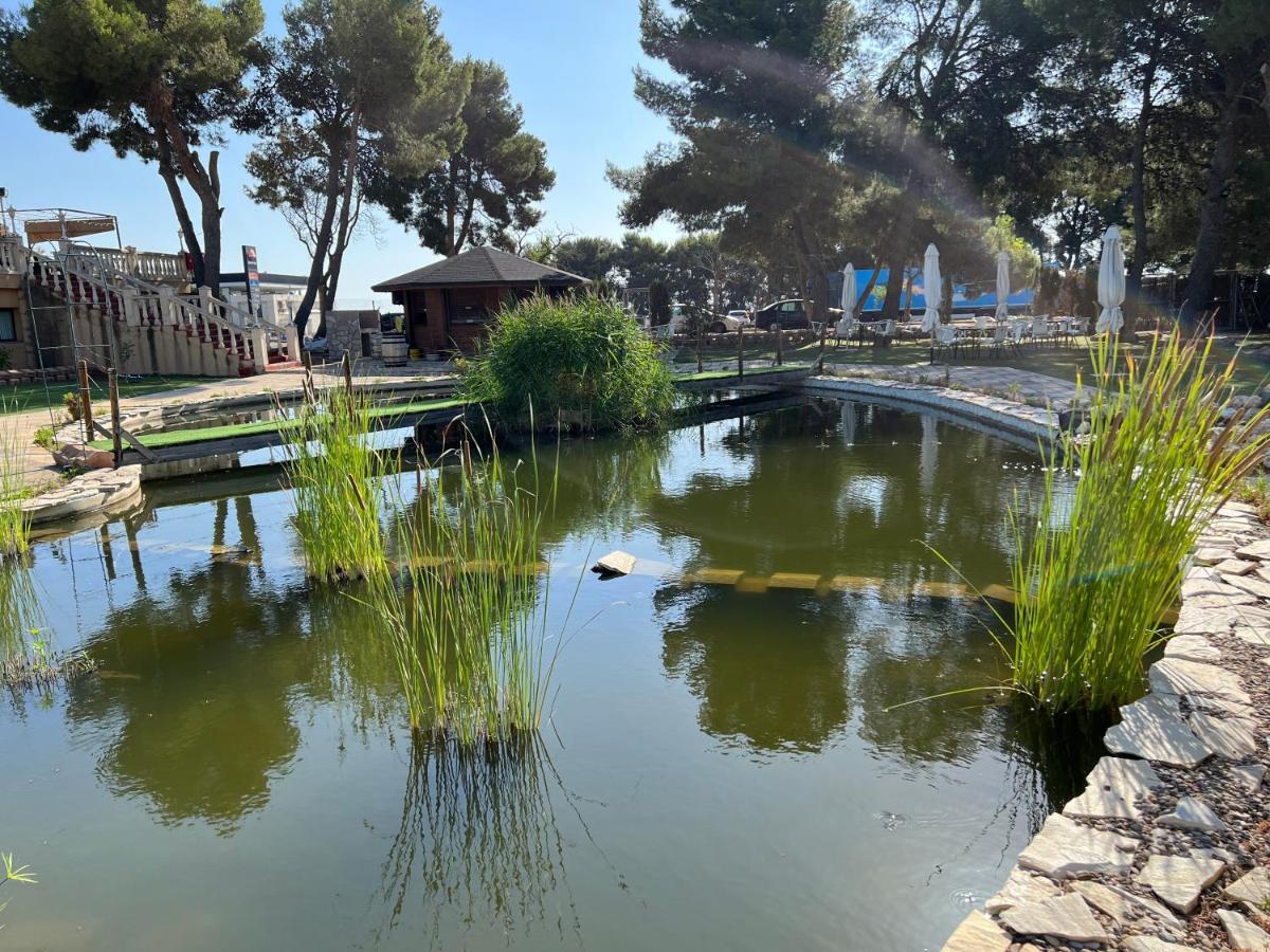 Hotel El Cisne Zaragoza Dış mekan fotoğraf