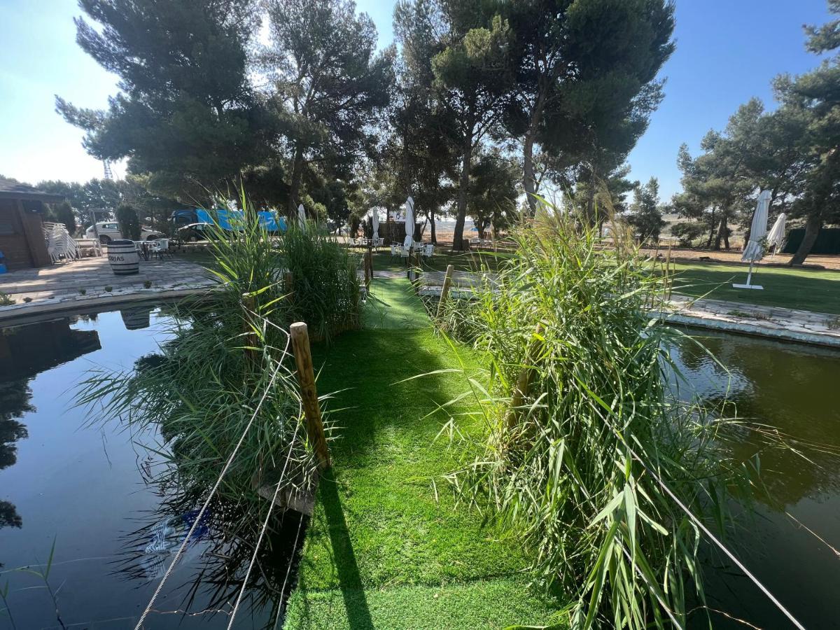 Hotel El Cisne Zaragoza Dış mekan fotoğraf
